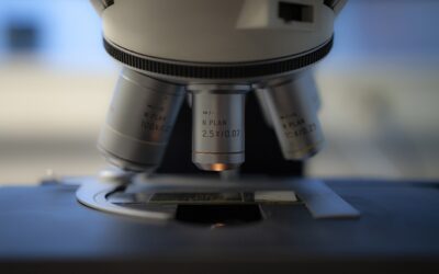 Blog 4 Mit nyersz azzal, ha egy független laboratórium felállítja a zsírsavprofilodat?