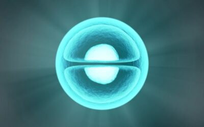 Blog 6 A sejtmembrán áteresztőképesség: mit jelent és miért fontos?